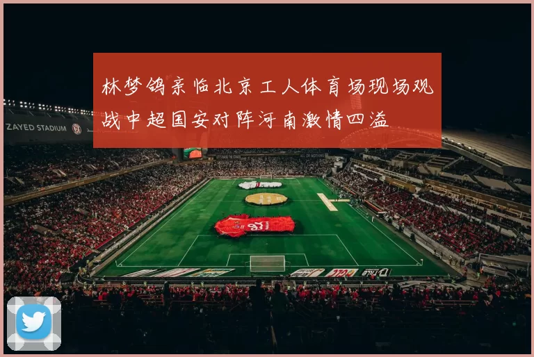 林梦鸽亲临北京工人体育场现场观战中超国安对阵河南激情四溢
